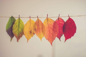déco d'automne - Aude à la déco