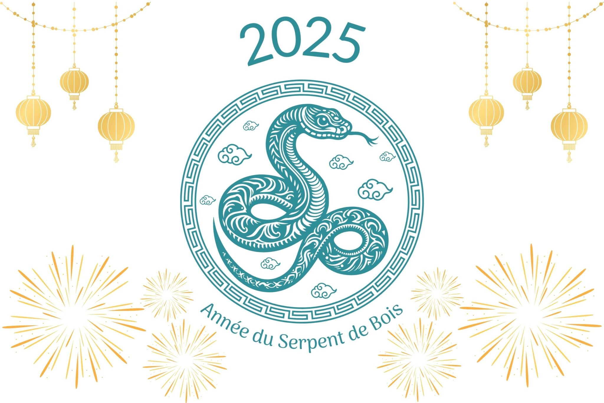 Pièce Porte-Bonheur 2025 Année Du Serpent - Pièce Commémorative Plaquée Or - Collection, Cadeau - 8